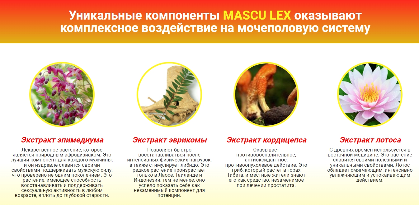 MASCULEX: Мощный Бустер Мужского Либидо для Повышения Сексуальной Активности