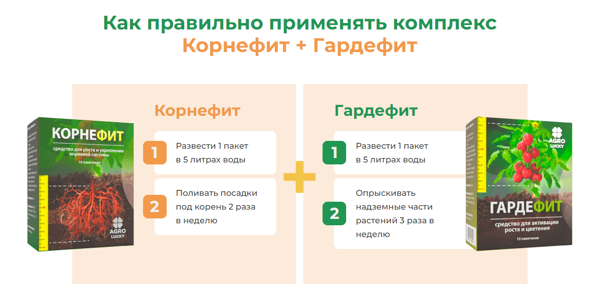 Корнефит и ГардеФит: Мощный Биокомплекс для Стимулирования Роста и Укрепления Здоровья Растений