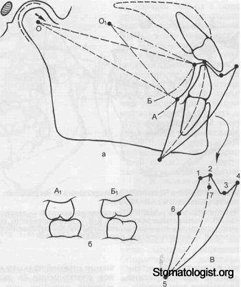 Движения нижней челюсти в сагиттальной и вертикальной плоскостях. 
