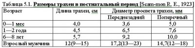 КЛИНИЧЕСКАЯ АНАТОМИЯ В АНЕСТЕЗИОЛОГИИ И РЕАНИМАТОЛОГИИ Часть 2