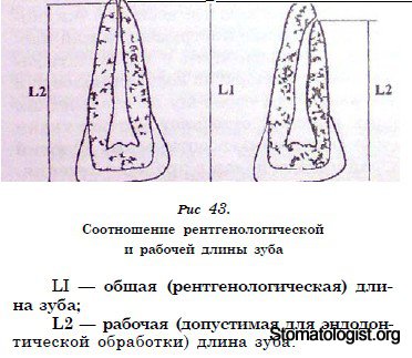 Аанатомия в эндодонтии