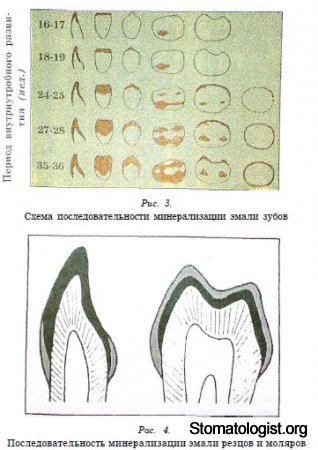 АНАТОМО-МОРФОЛОГИЧЕСКИЕ, ГИСТОЛОГИЧЕСКИЕ И РЕНТГЕНОЛОГИЧЕСКИЕ ОСОБЕННОСТИ СТРОЕНИЯ ВРЕМЕННЫХ И ПОСТОЯННЫХ ЗУБОВ У ДЕТЕЙ, КОТОРЫЕ ИМЕЮТ ЗНАЧЕНИЕ В КЛИНИКЕ