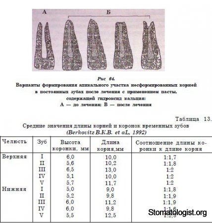 ОСОБЕННОСТИ ЭНДОДОНТИЧЕСКОЙ ТЕХНИКИ У ДЕТЕЙ Эндодонтия временных зубов